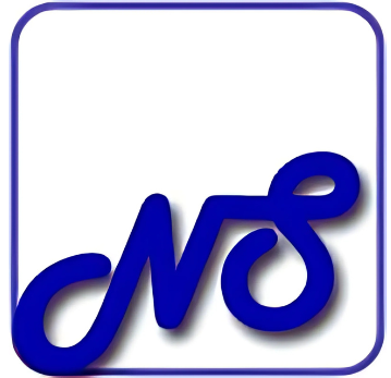Nandu Softech Solutions Logo